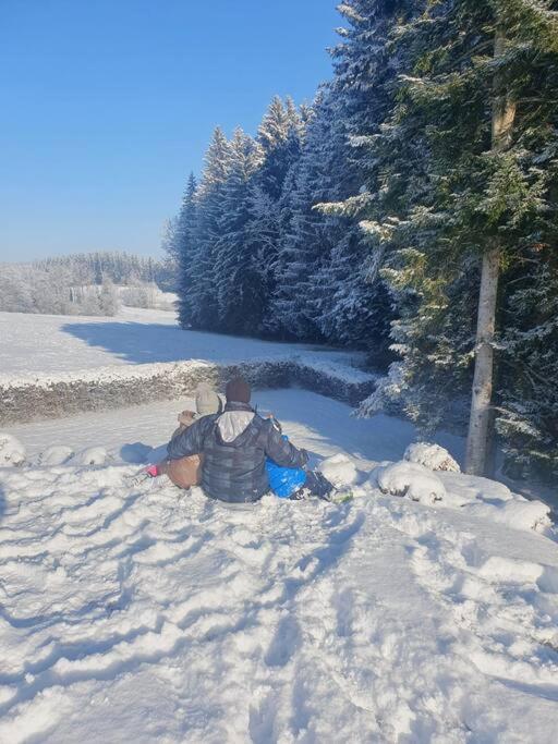 Ferienwohnung Im Allgaeu Mit Bergsicht Oberreute Exteriör bild